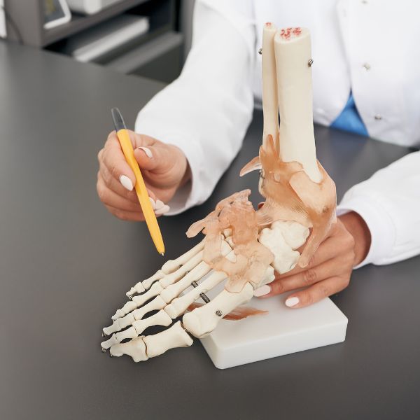 A doctor examining a bone model